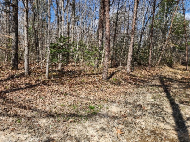 0 Buffalo Rd Property Photo 45