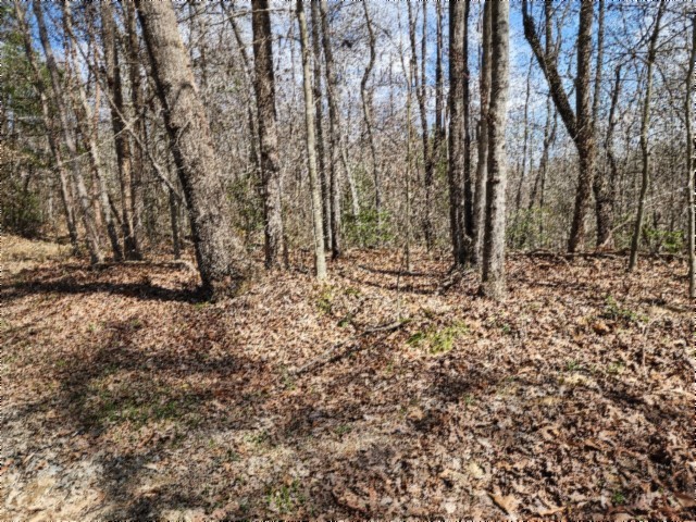 0 Buffalo Rd Property Photo 46