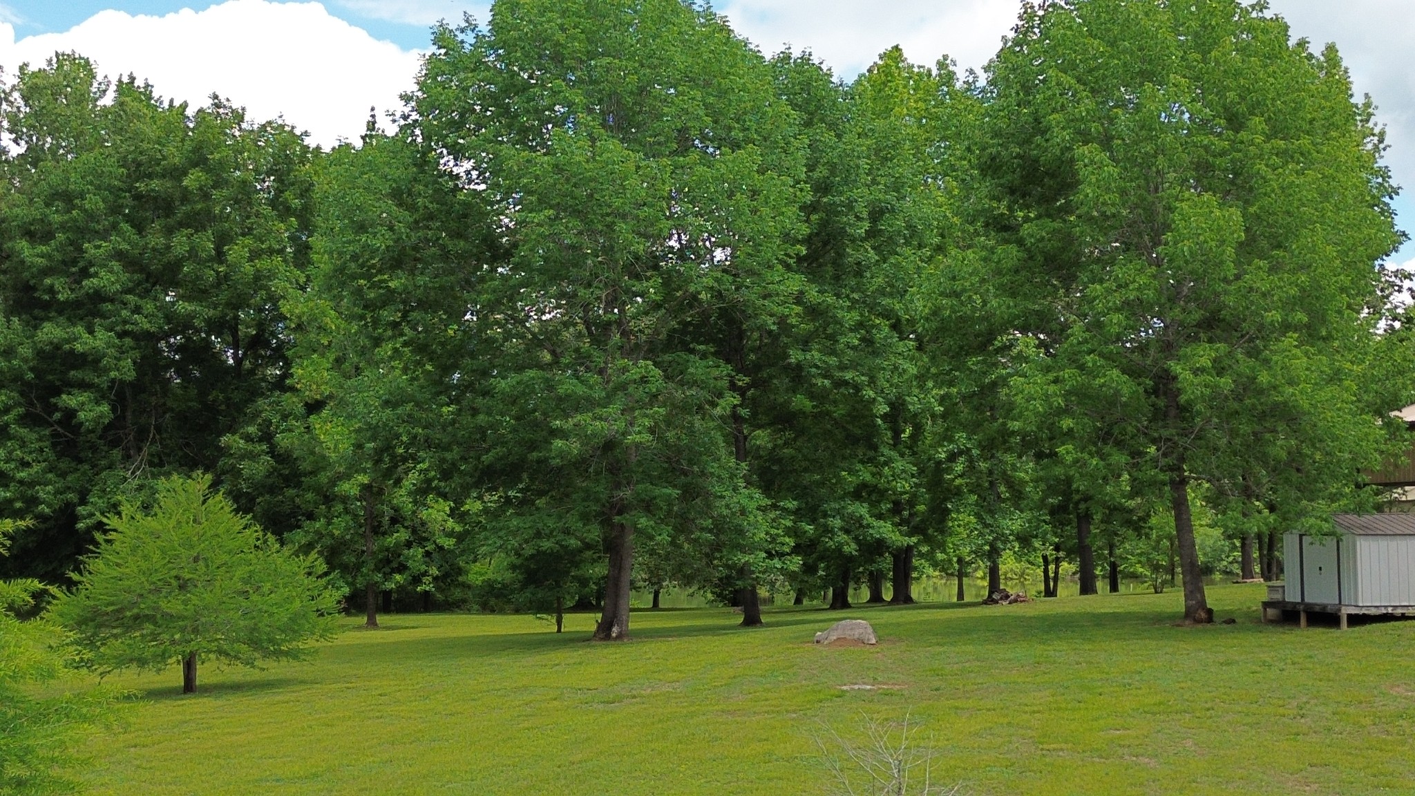 17 Clearwater Cr Property Photo 43