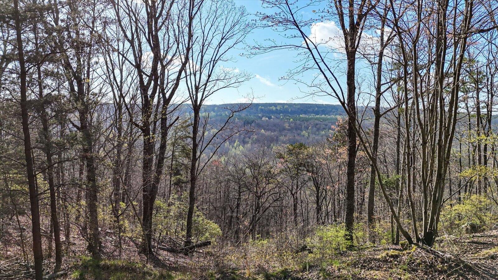 1350 Split Rail Way Property Photo 1