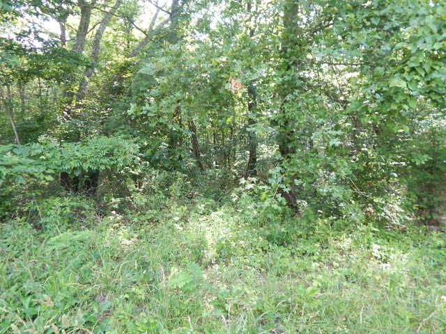 0 4th Dr Property Photo 11