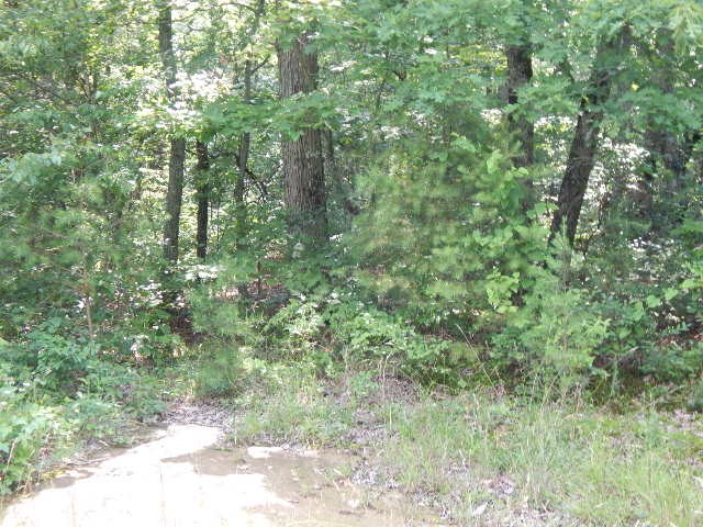 0 4th Dr Property Photo 13