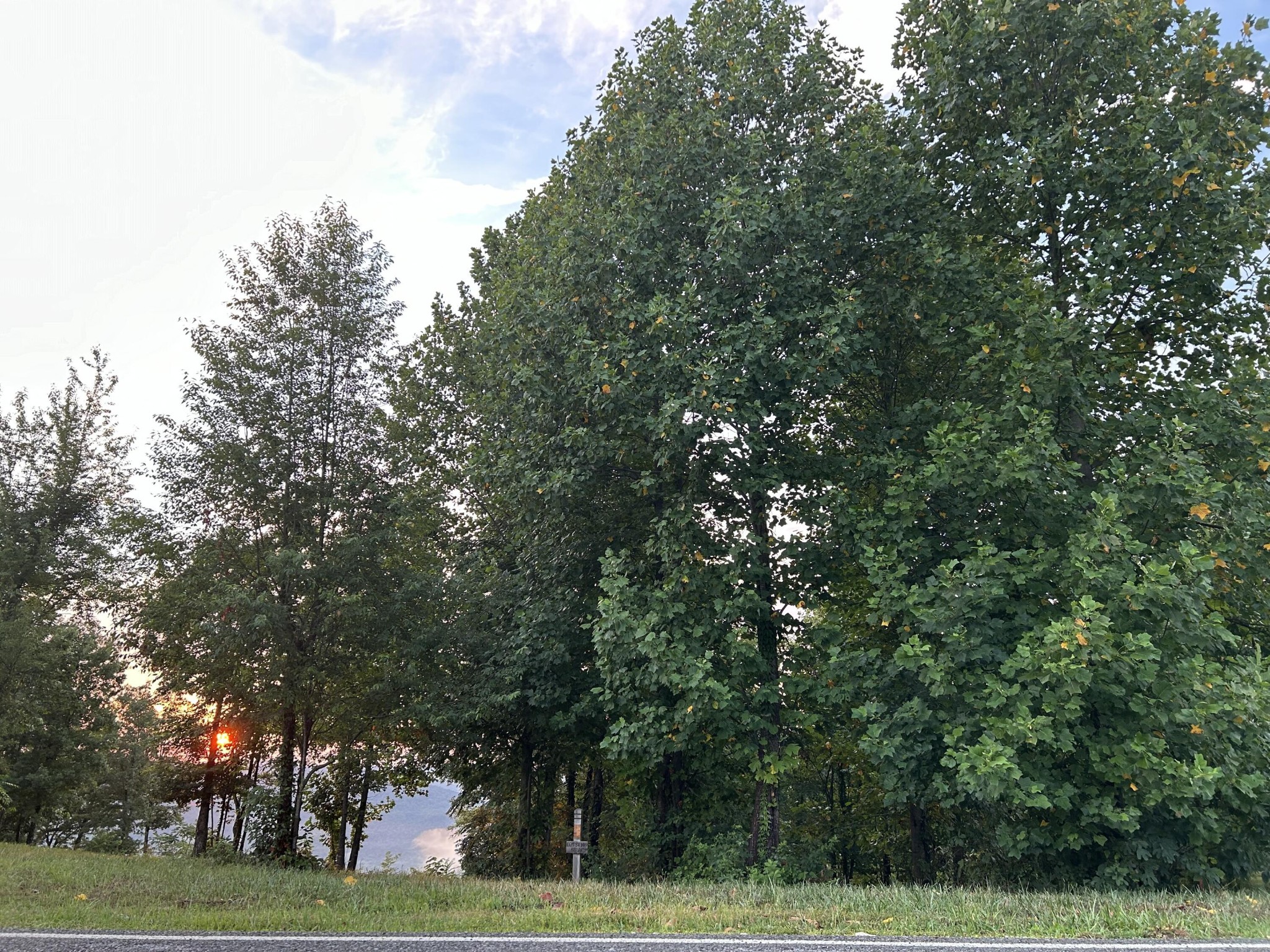 755 Sunset Circle Property Photo 4