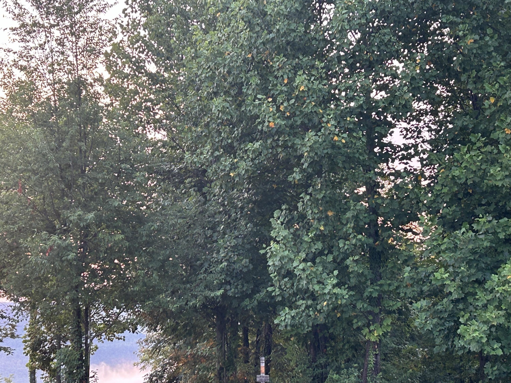 755 Sunset Circle Property Photo 5