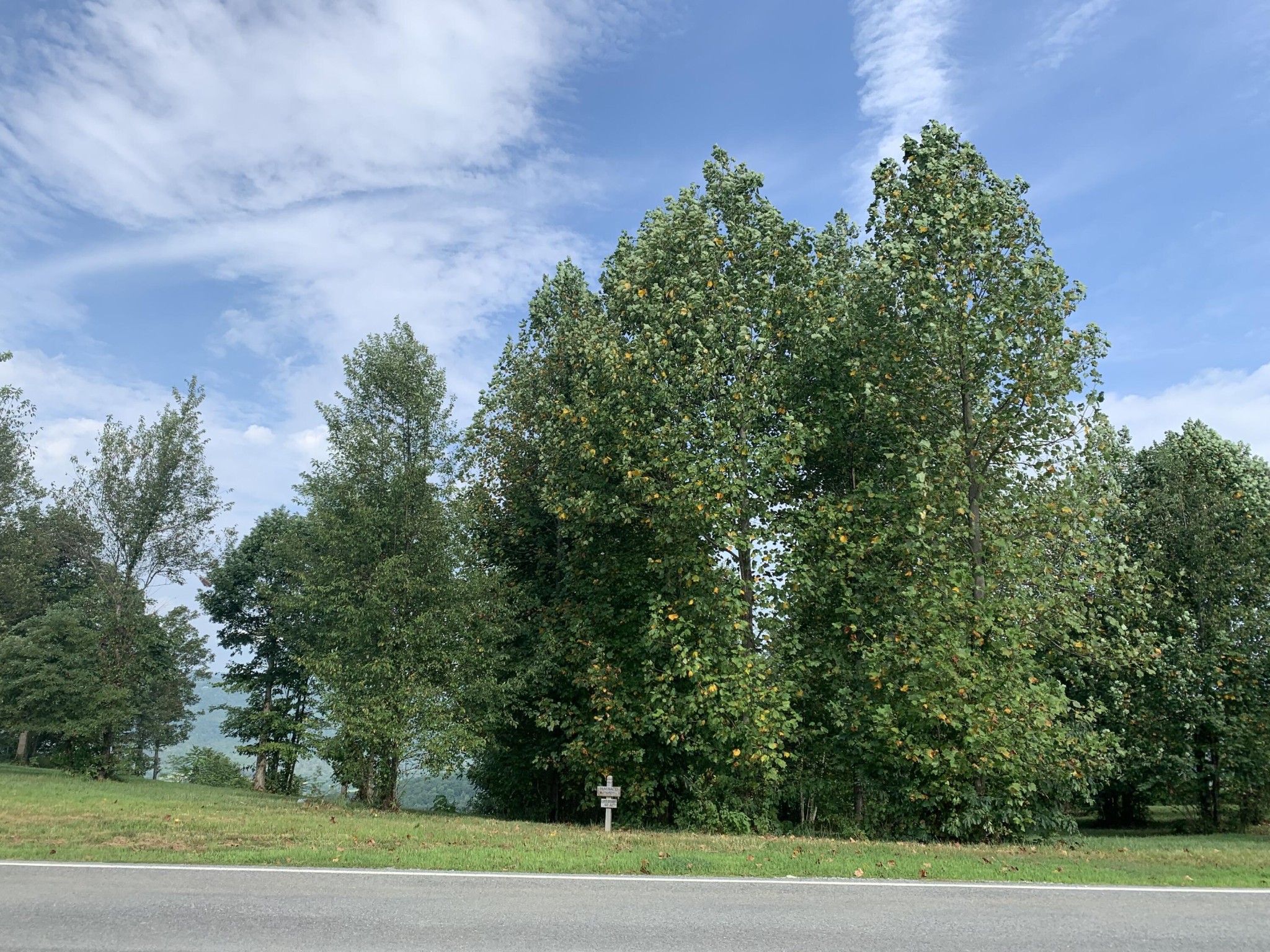 755 Sunset Circle Property Photo 11