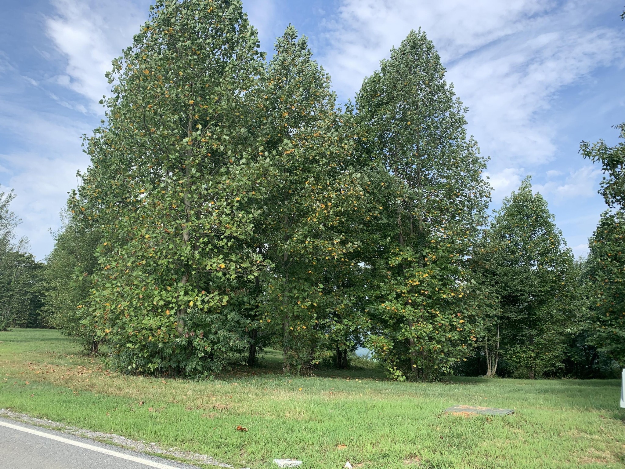 755 Sunset Circle Property Photo 14
