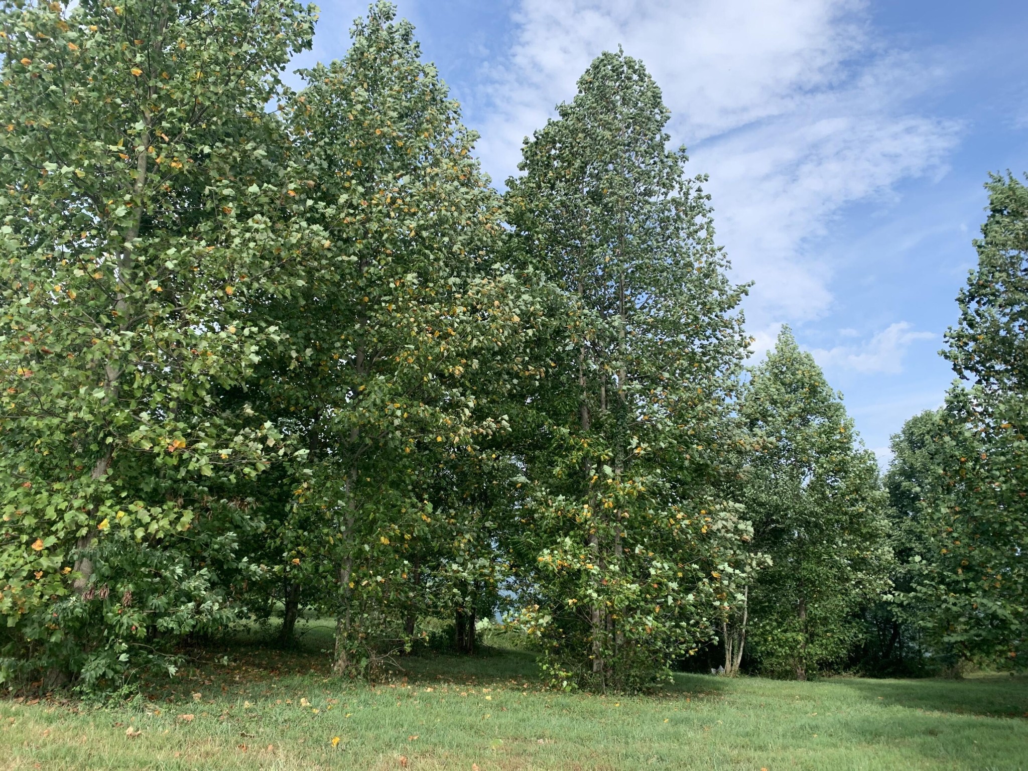 755 Sunset Circle Property Photo 15