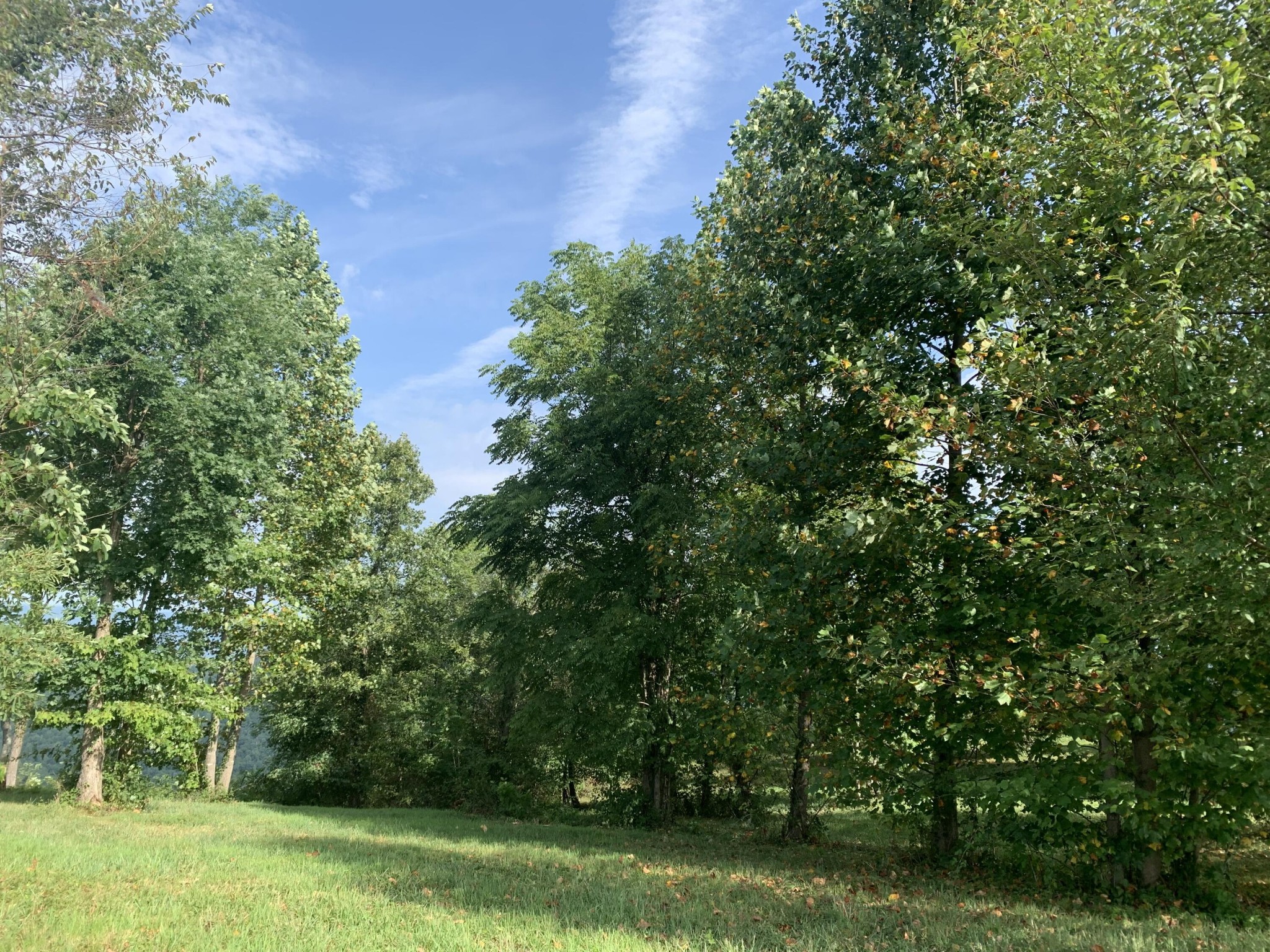 755 Sunset Circle Property Photo 16