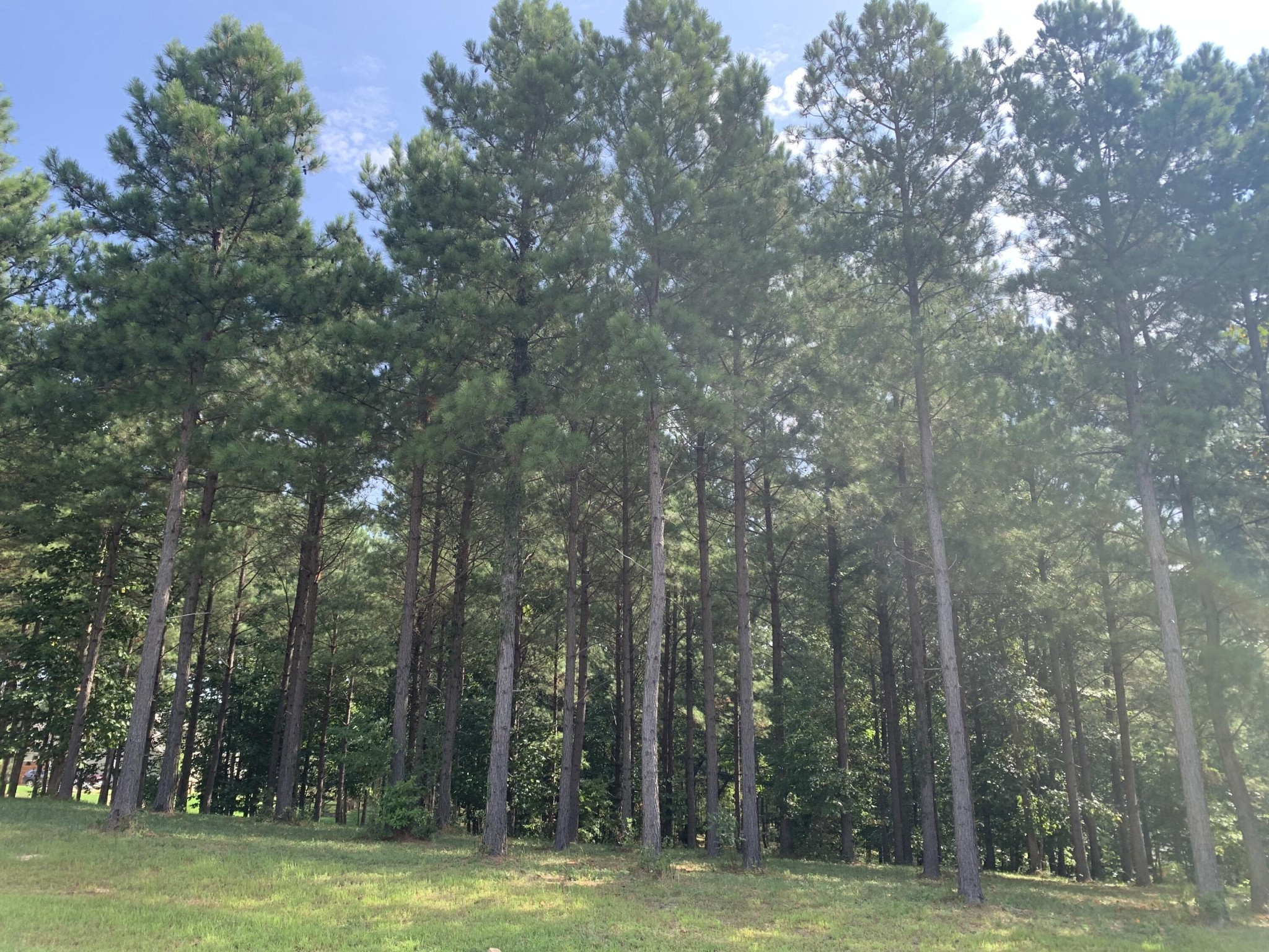 755 Sunset Circle Property Photo 18