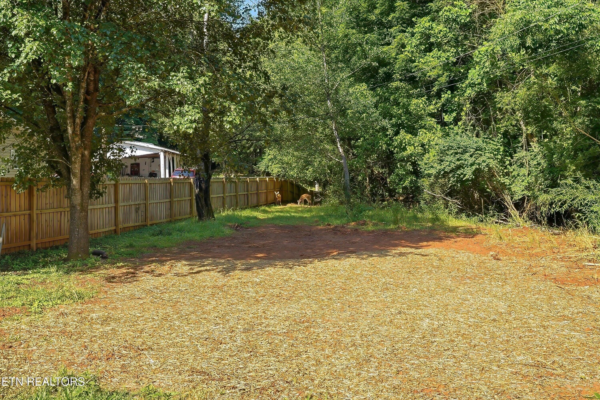 1717 Polkwright Lane Property Photo 31