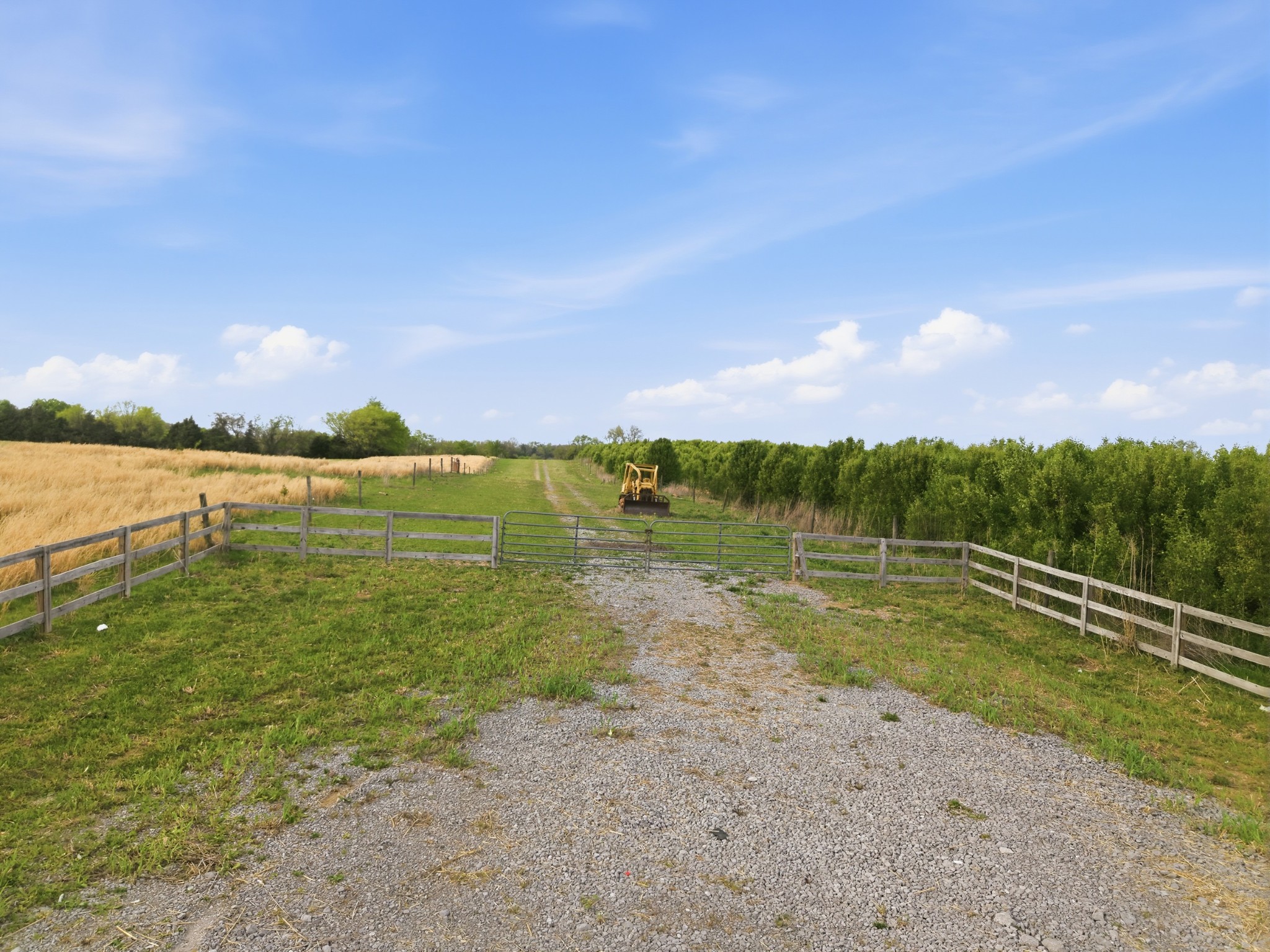 1128 Highway 64, W Property Photo 10