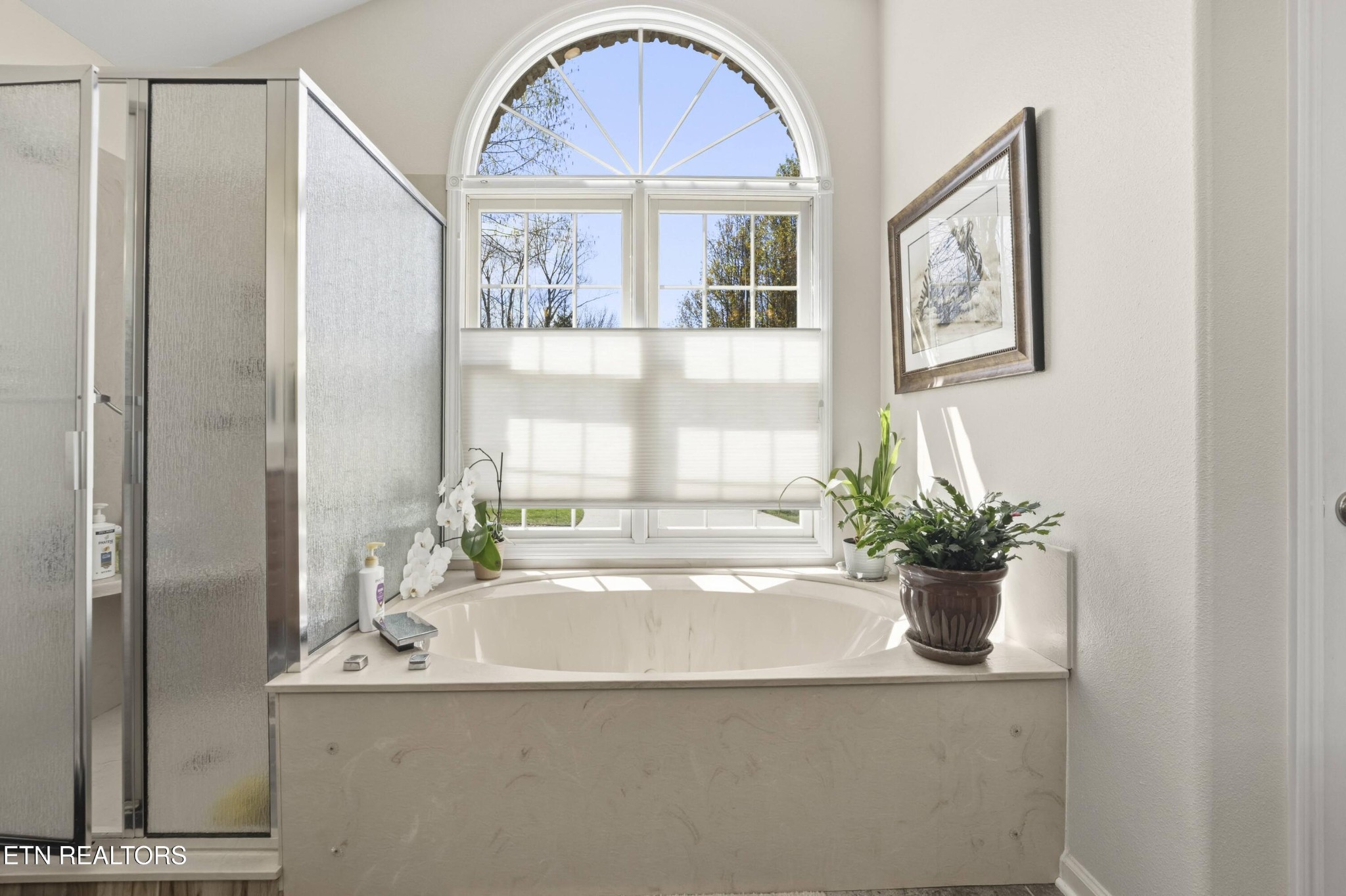 21 Lexham Court Property Photo 29