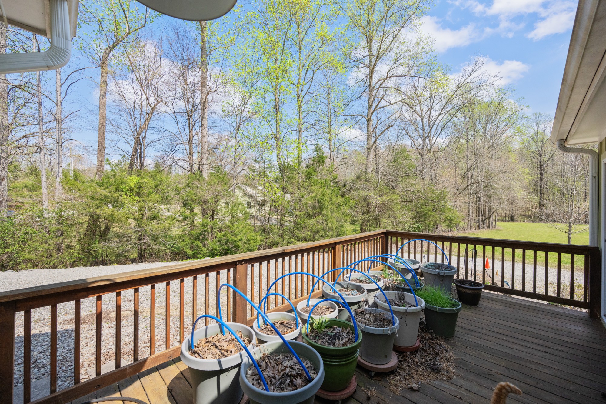 254 Kelley Ln Property Photo 8
