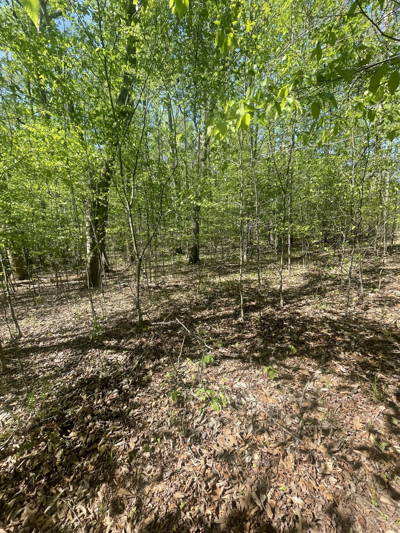 389 Excalibur Trl Property Photo 1