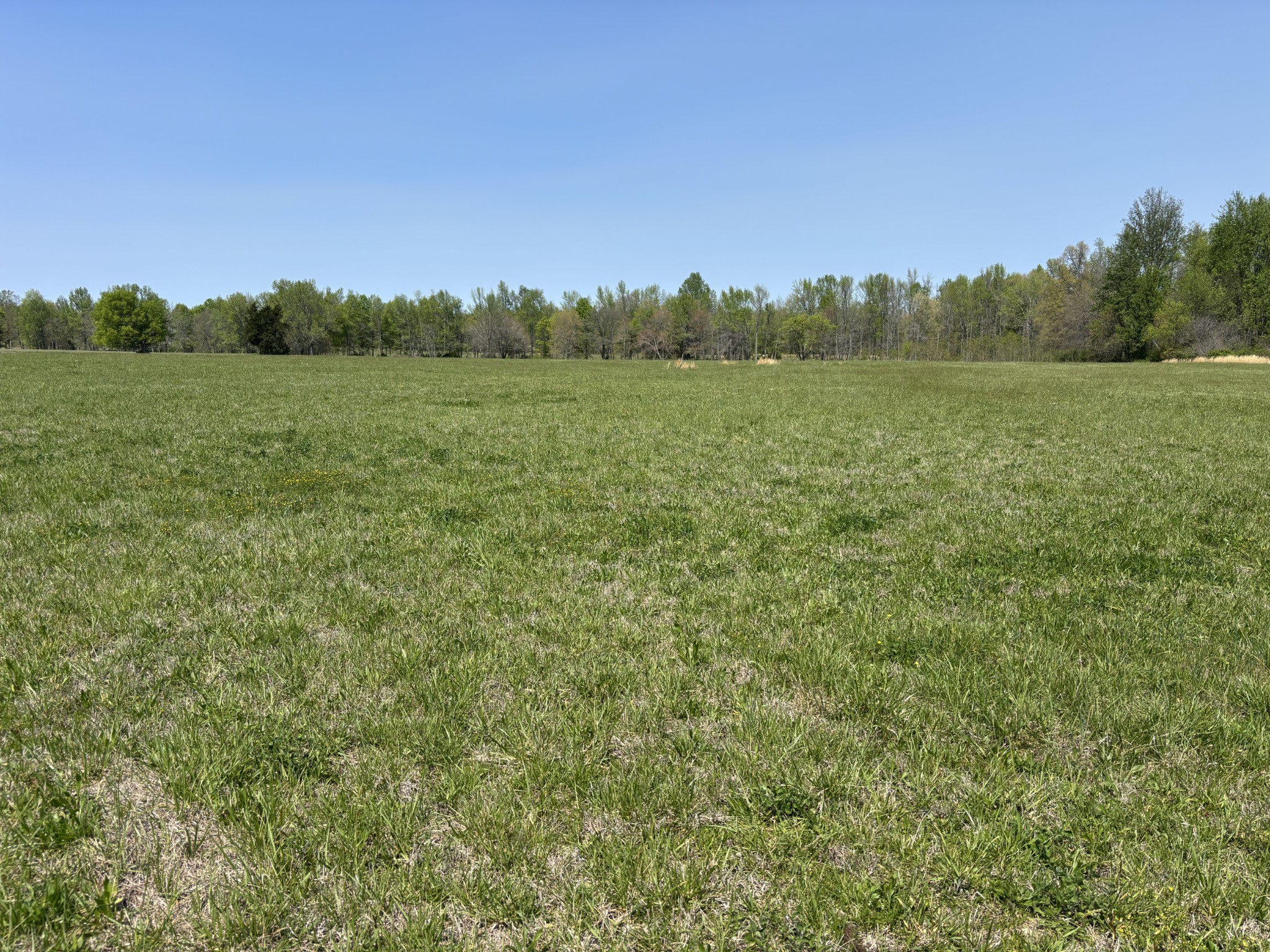 0 Hollow Springs Road Property Photo 1