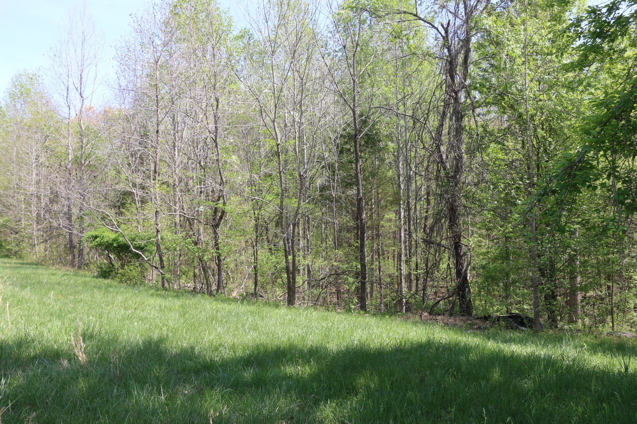 820 New Rd Property Photo 1