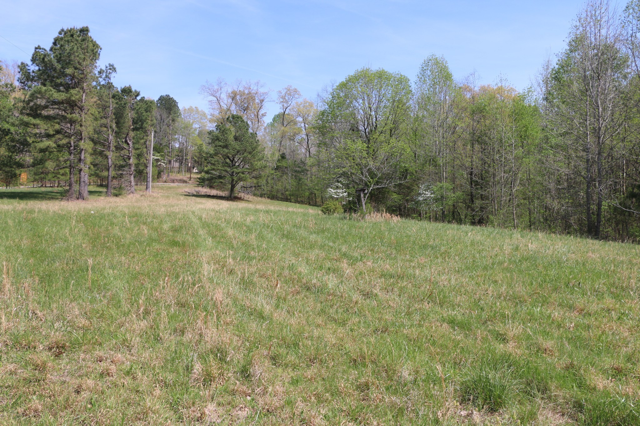 820 New Rd Property Photo 3