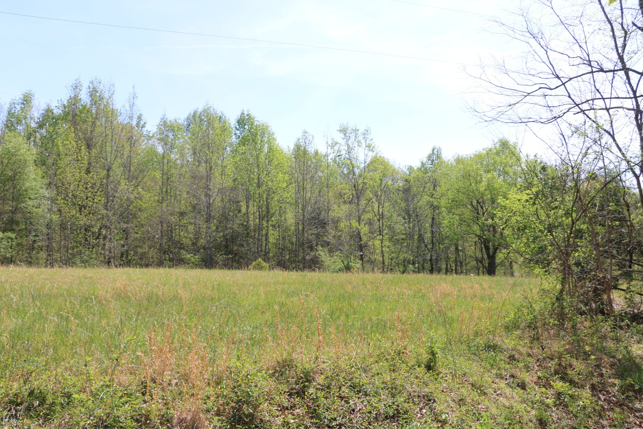 820 New Rd Property Photo 8