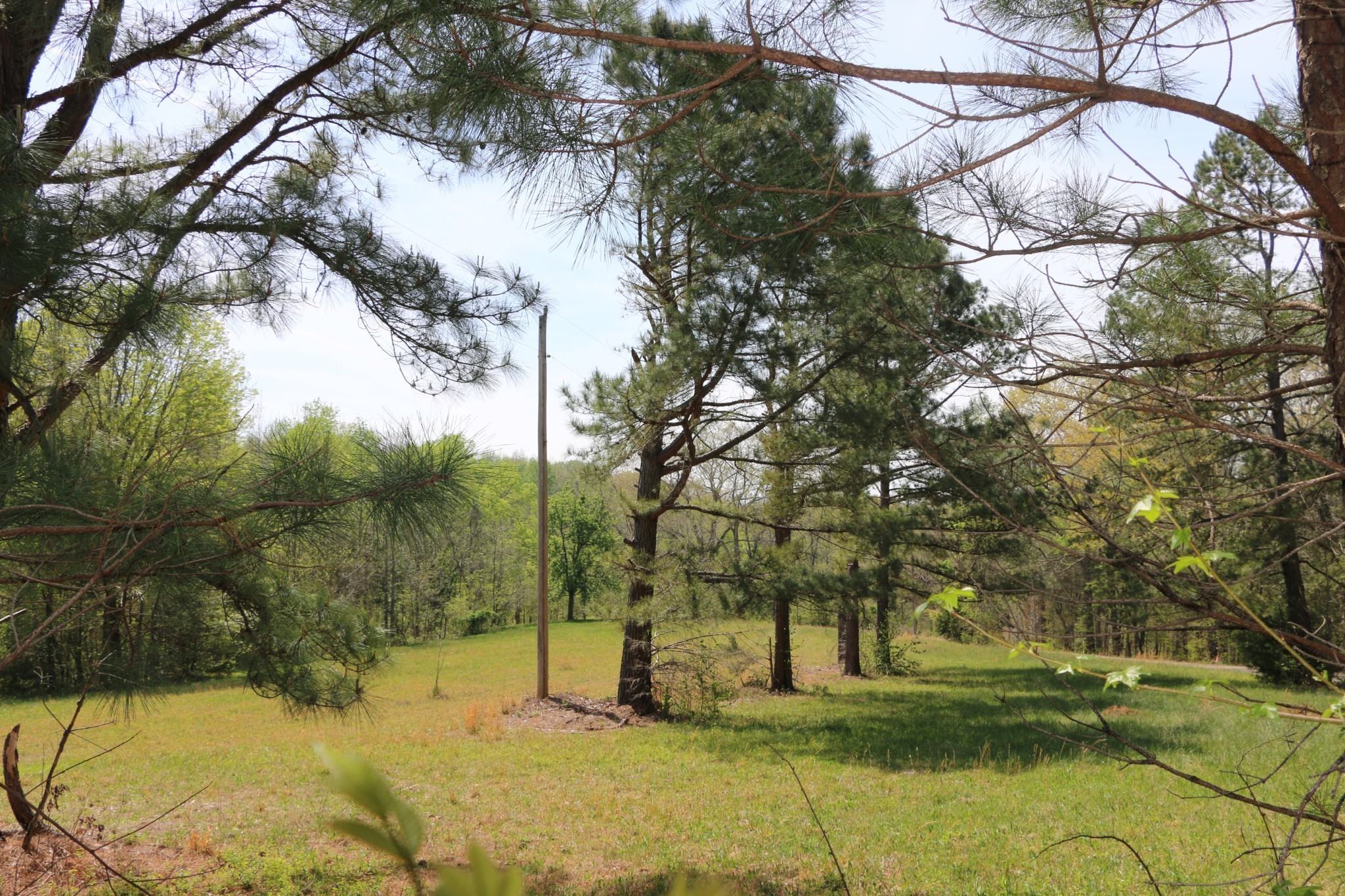 820 New Rd Property Photo 10