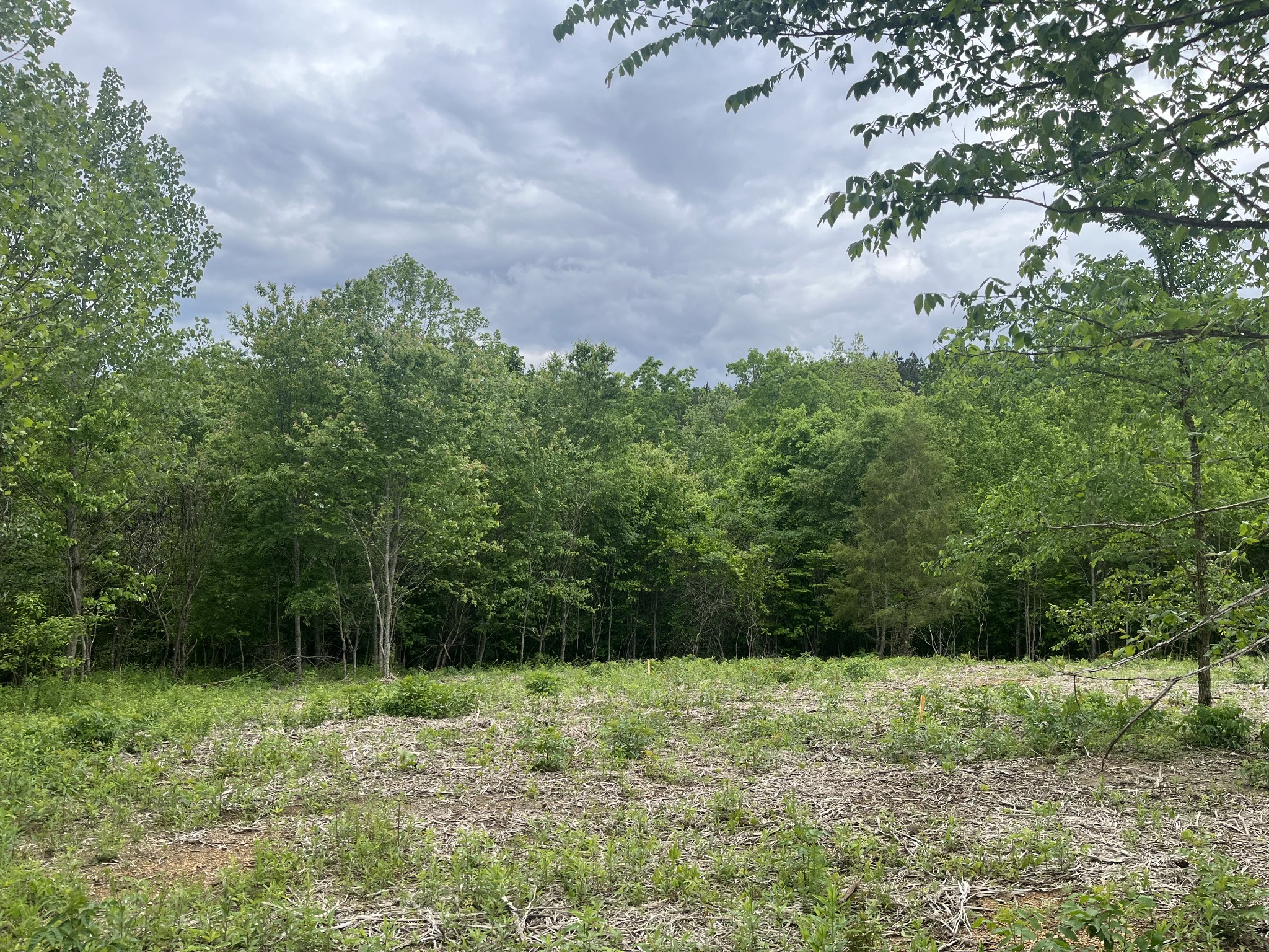0 Old Mail Road Property Photo 1