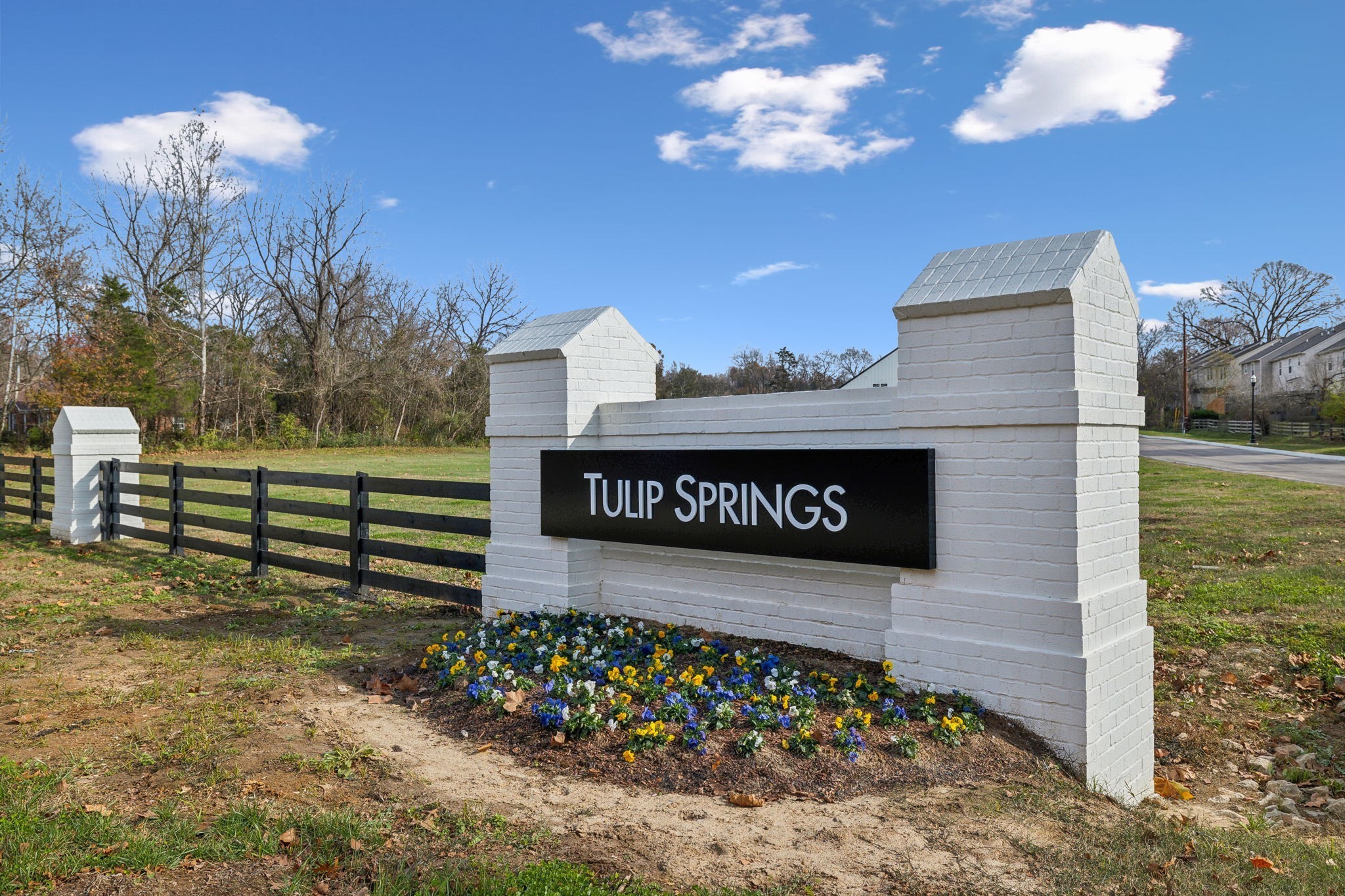 533 Tulip Springs Rd Property Photo 37