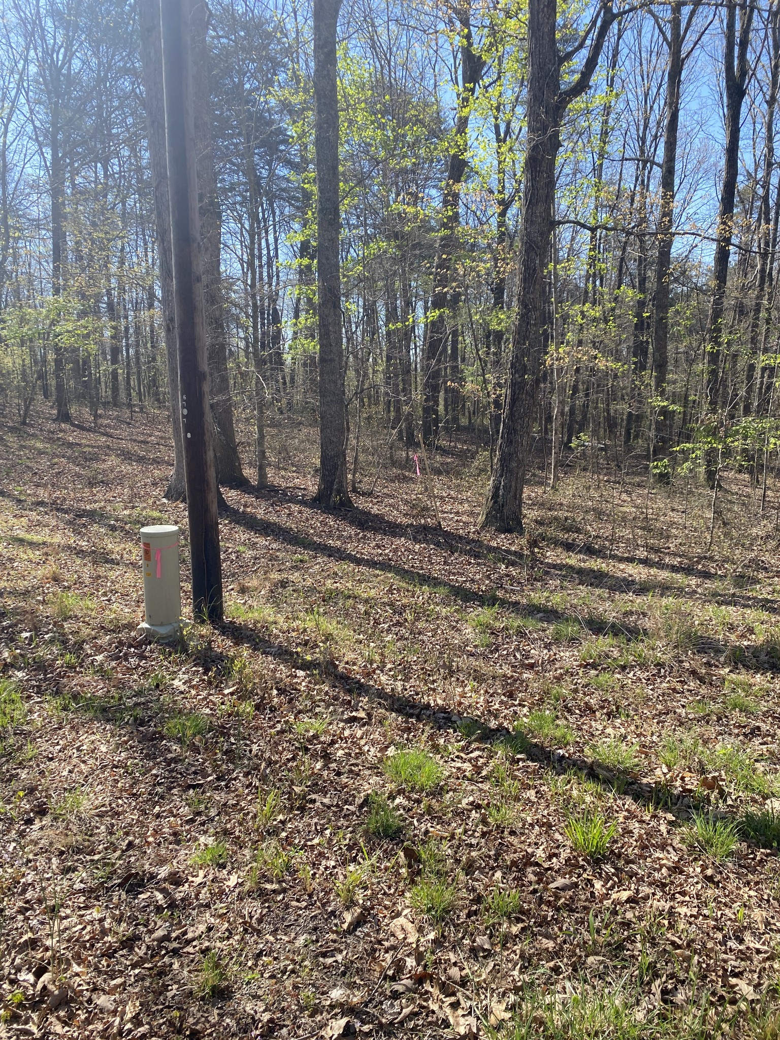 490 Haynes Rd Property Photo 1