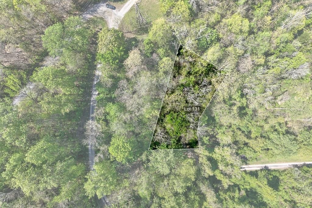 588 Austin Btm Property Photo 1