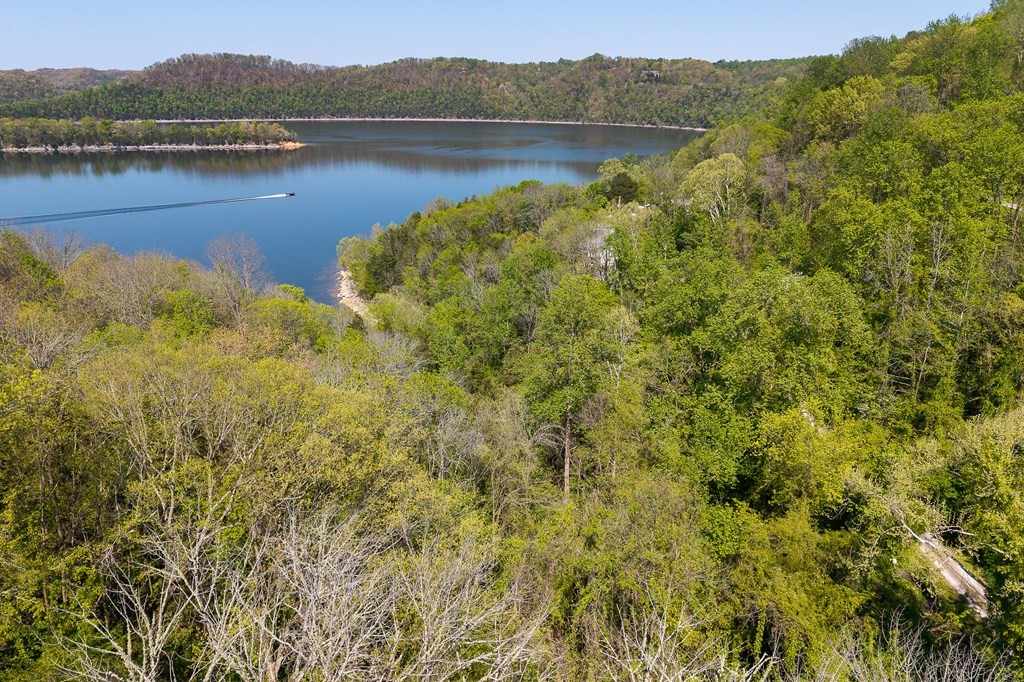 588 Austin Btm Property Photo 4