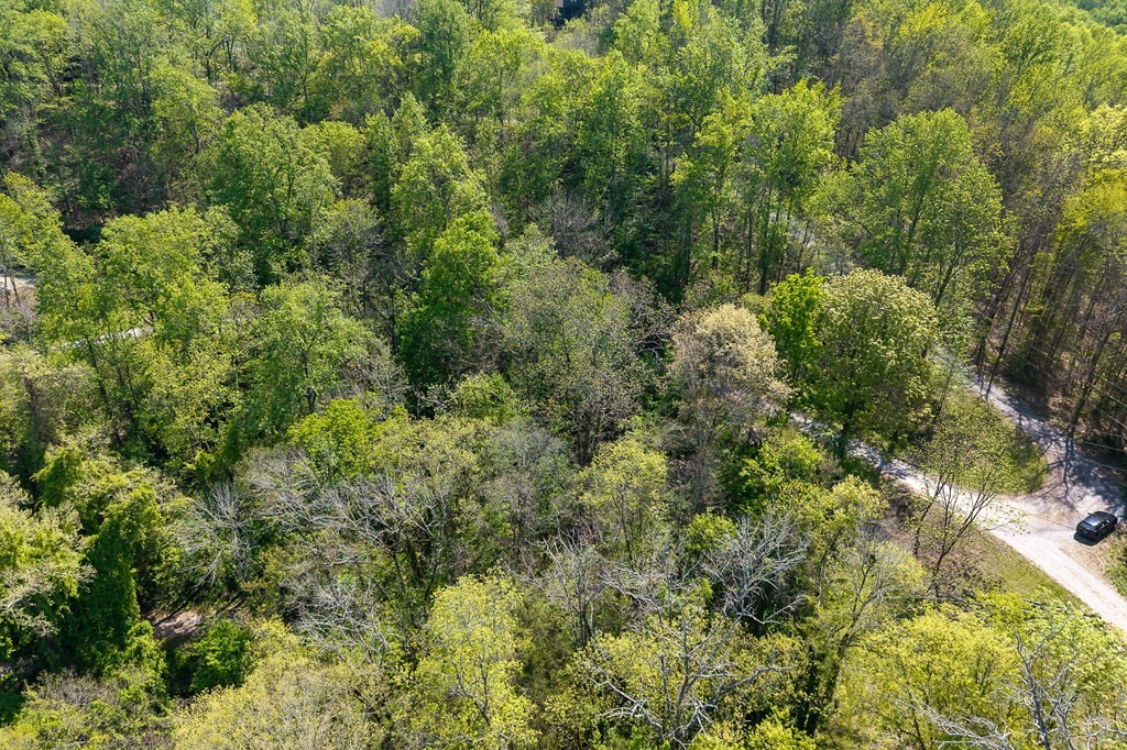 588 Austin Btm Property Photo 7