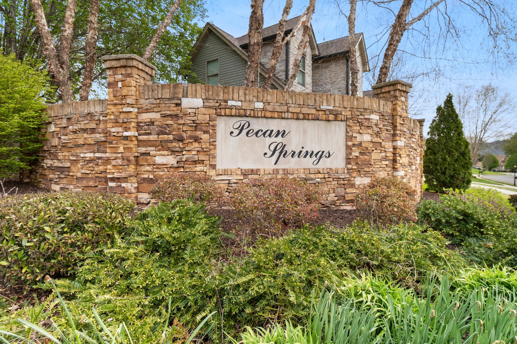 9676 Pecan Springs Circle Property Photo 4