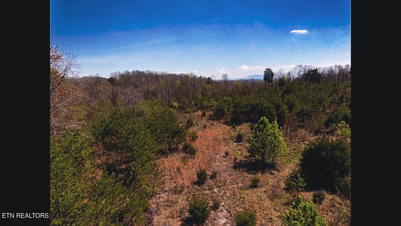 317 Mountain View Drive