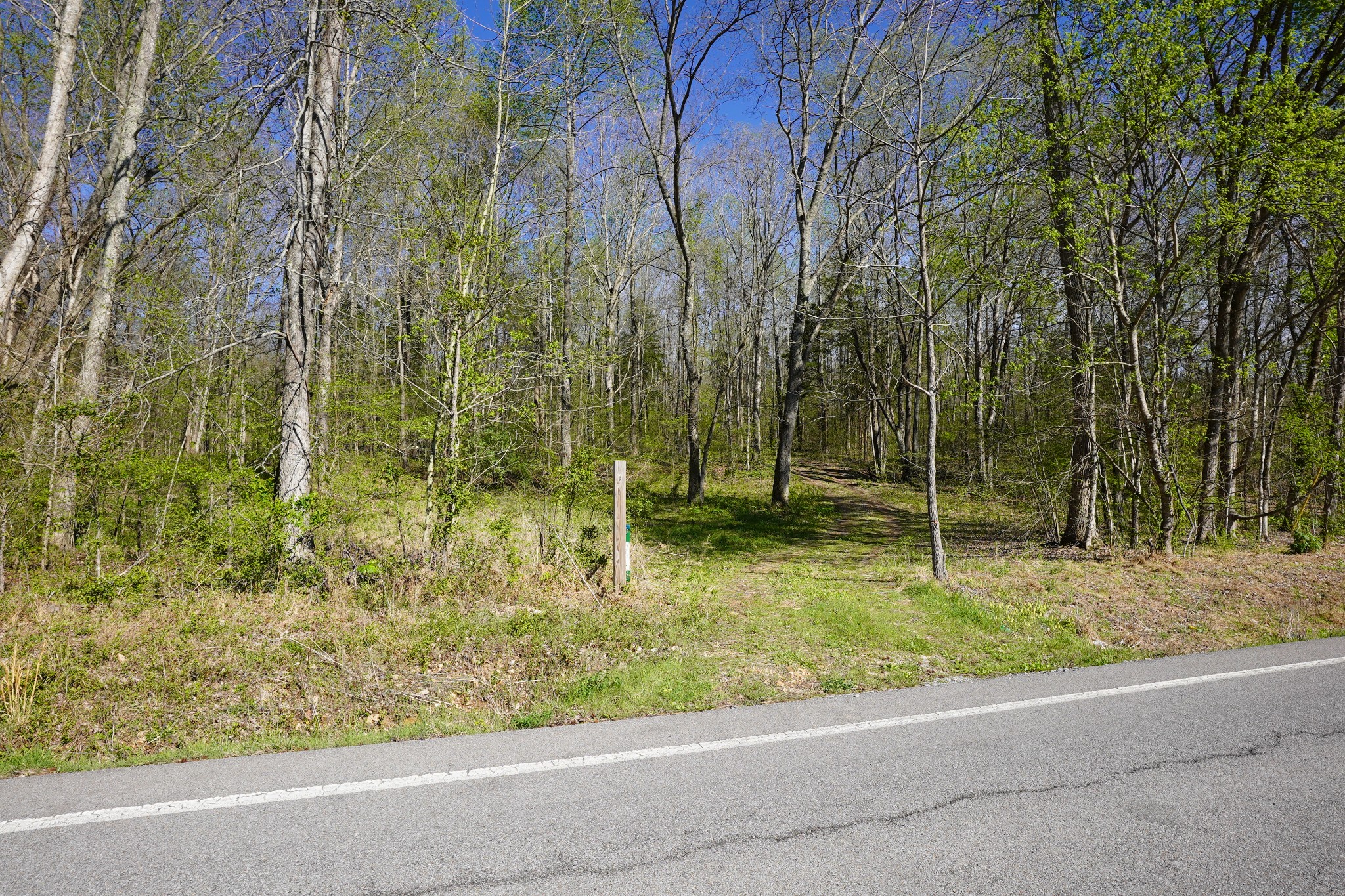 4219 Hwy 49 Property Photo 1