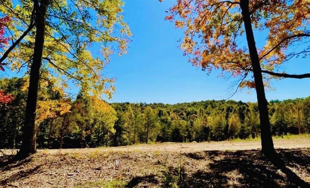 0 State Park Road Property Photo 1