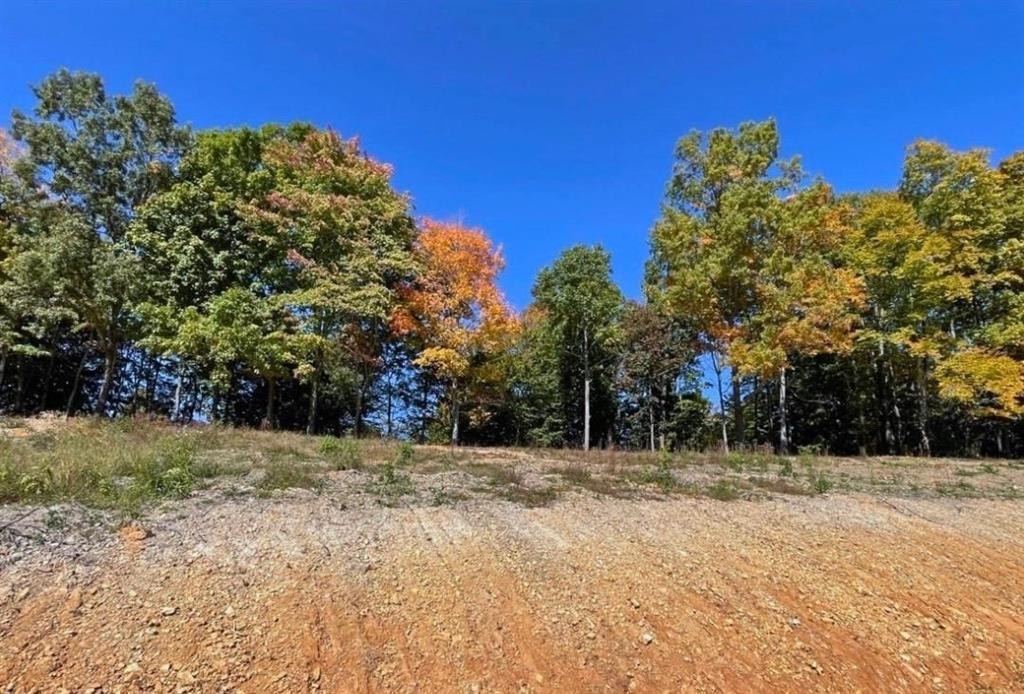 0 State Park Road Property Photo 2