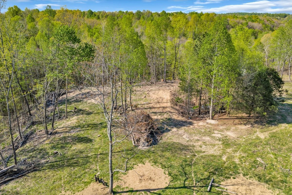 321 Goodridge Rd Property Photo 49