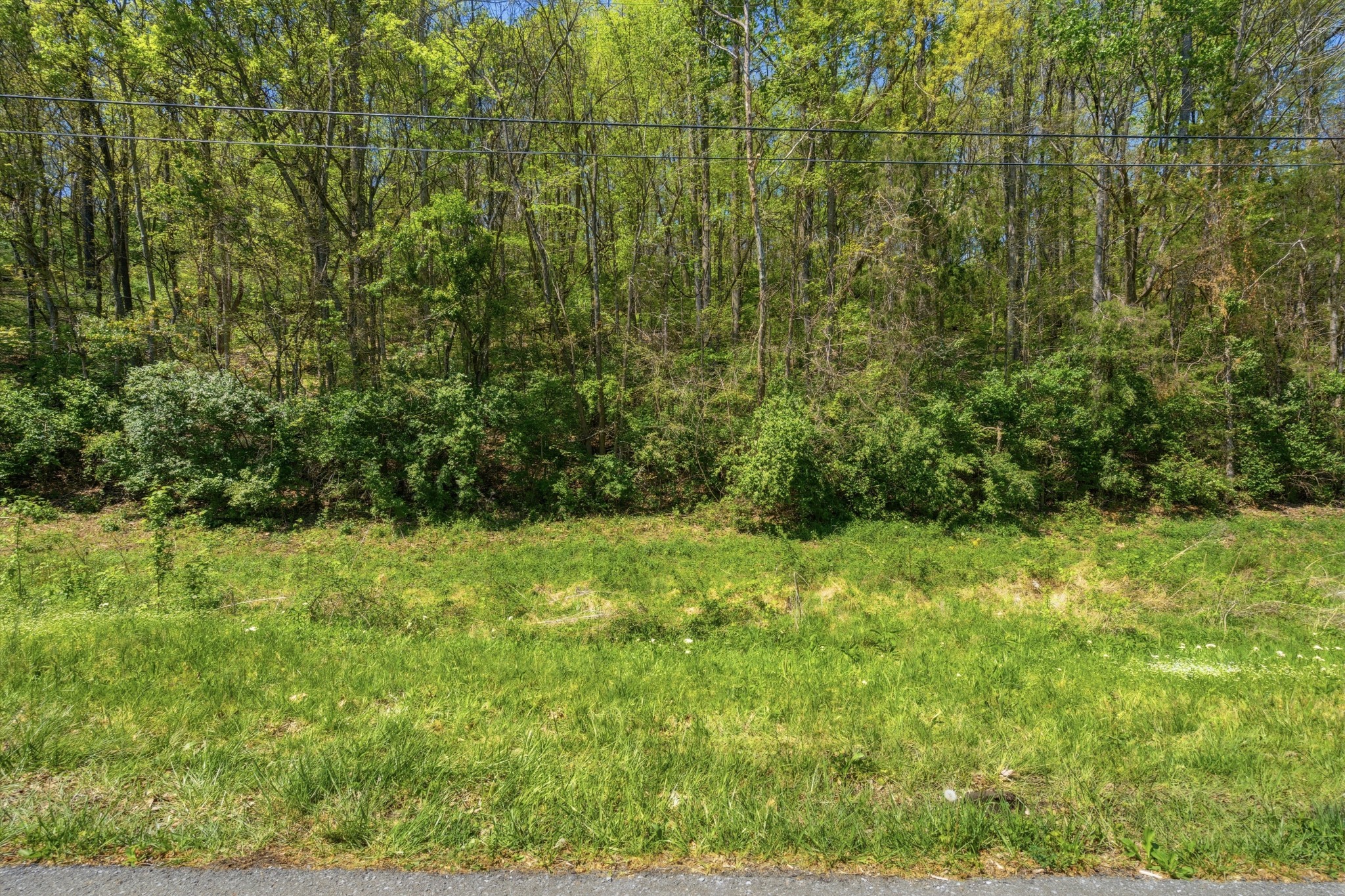 791 High Point Ridge