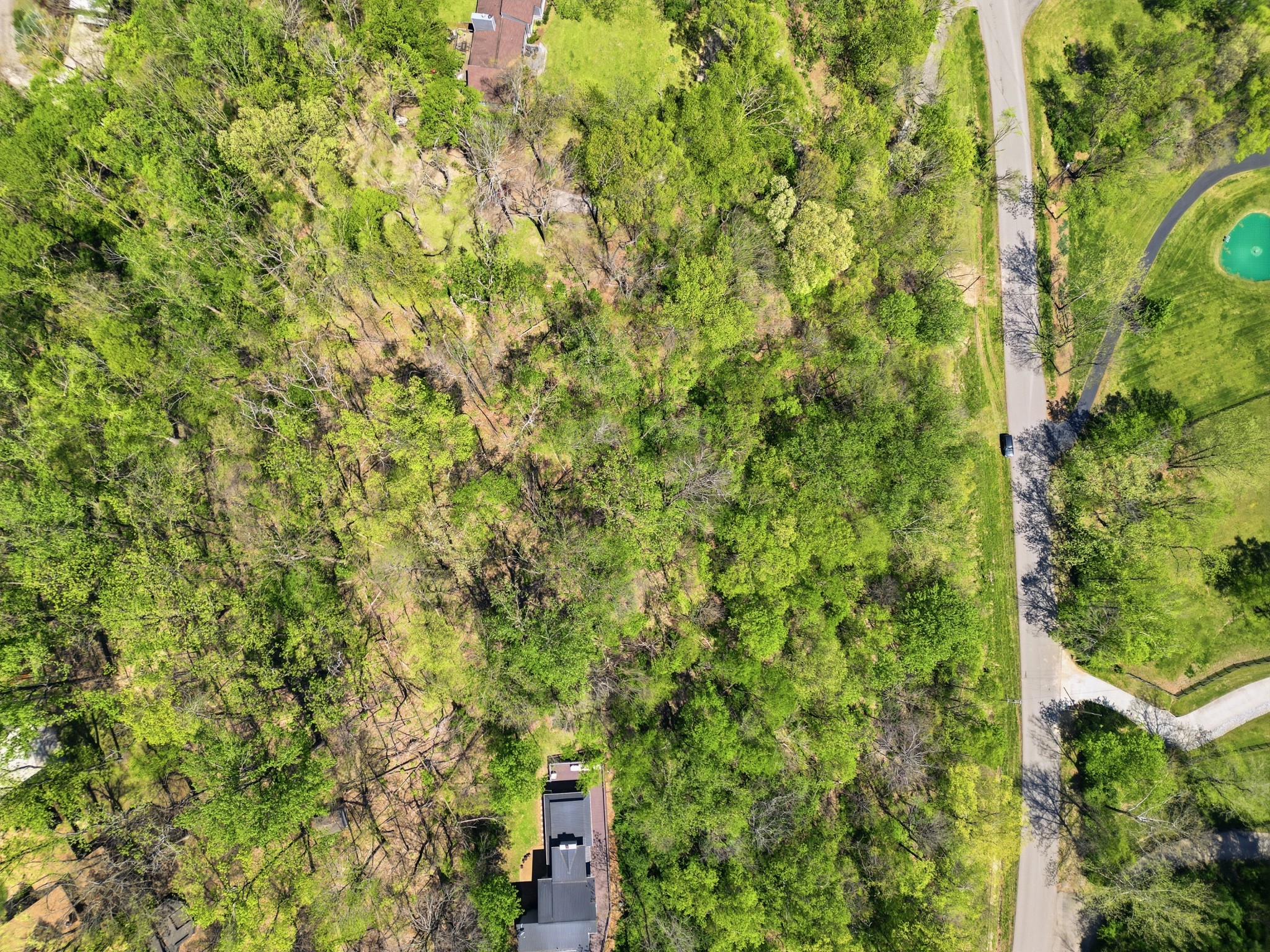791 High Point Ridge Property Photo 6