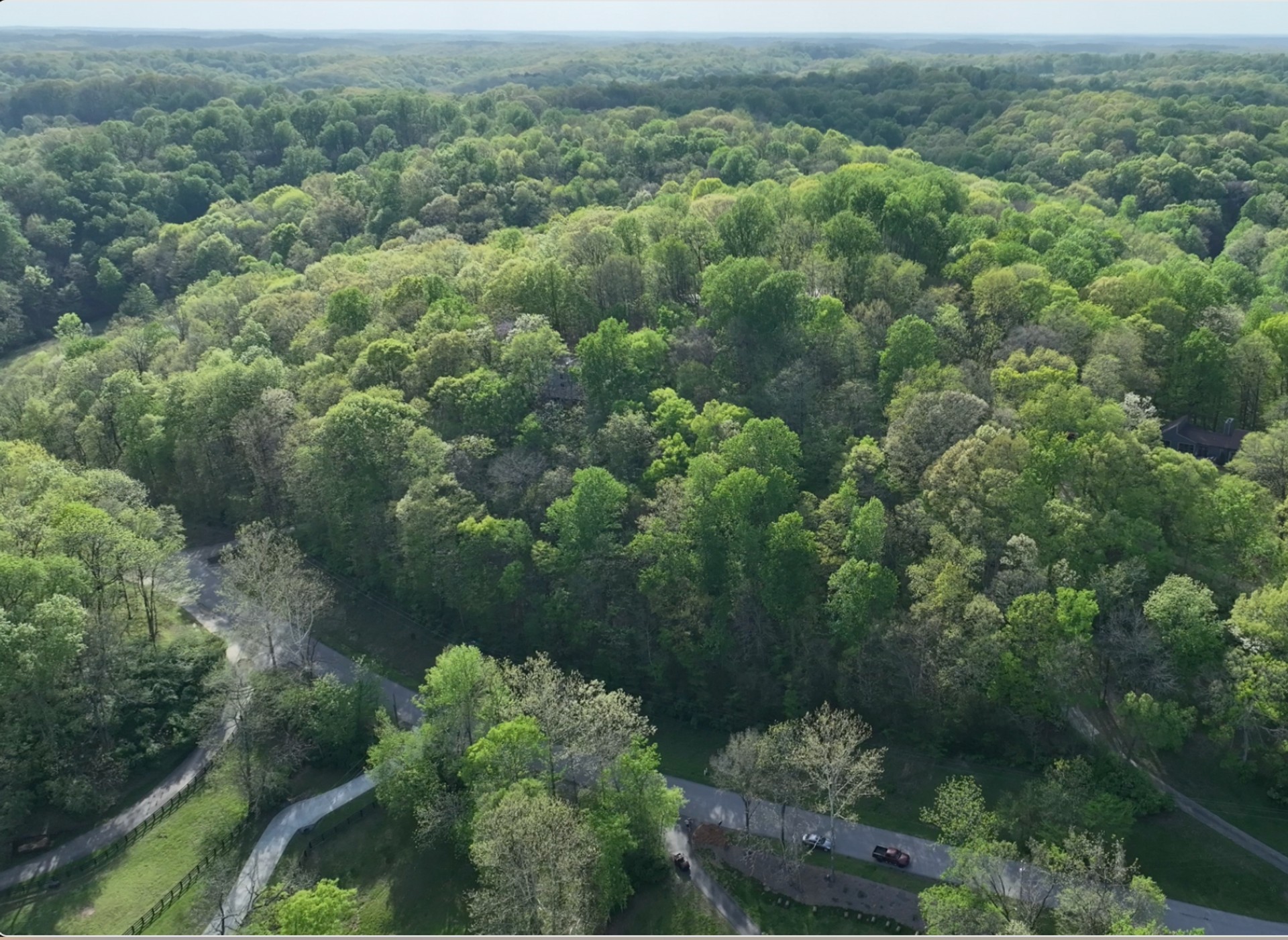 791 High Point Ridge Property Photo 8