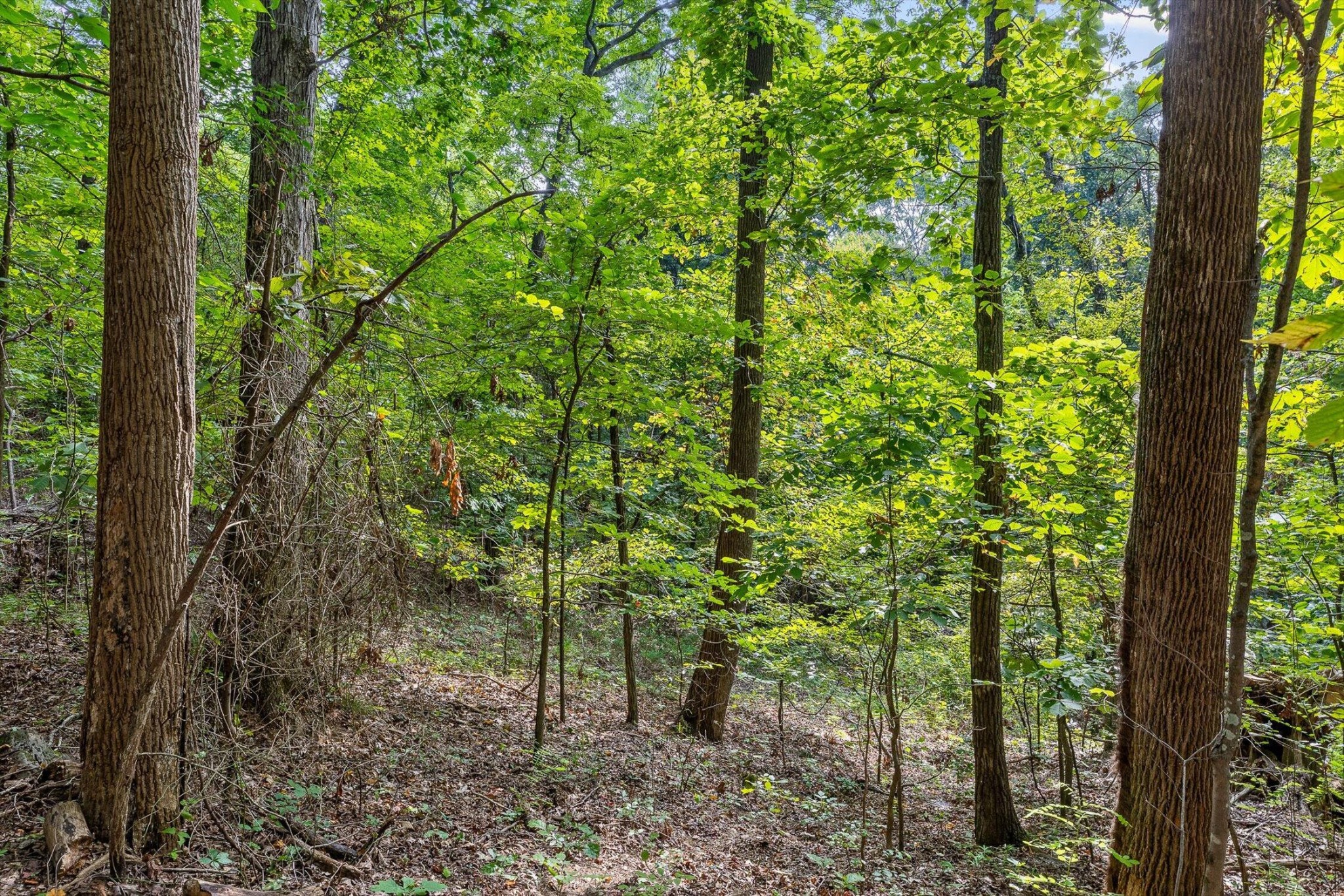 2255 Nickajack Road Property Photo 2
