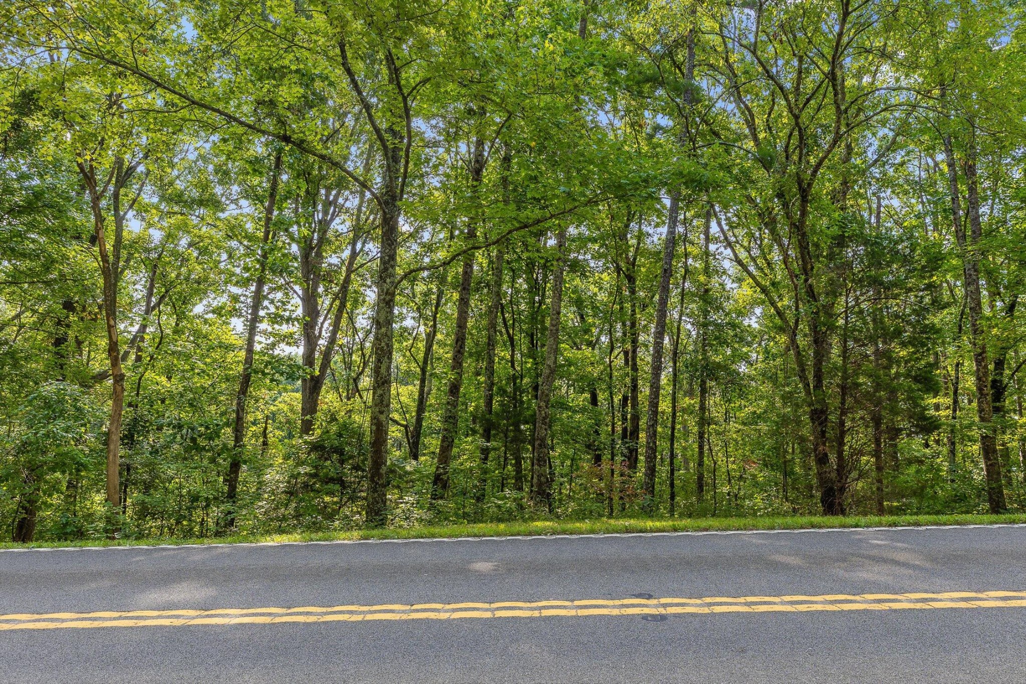 2255 Nickajack Road Property Photo 6