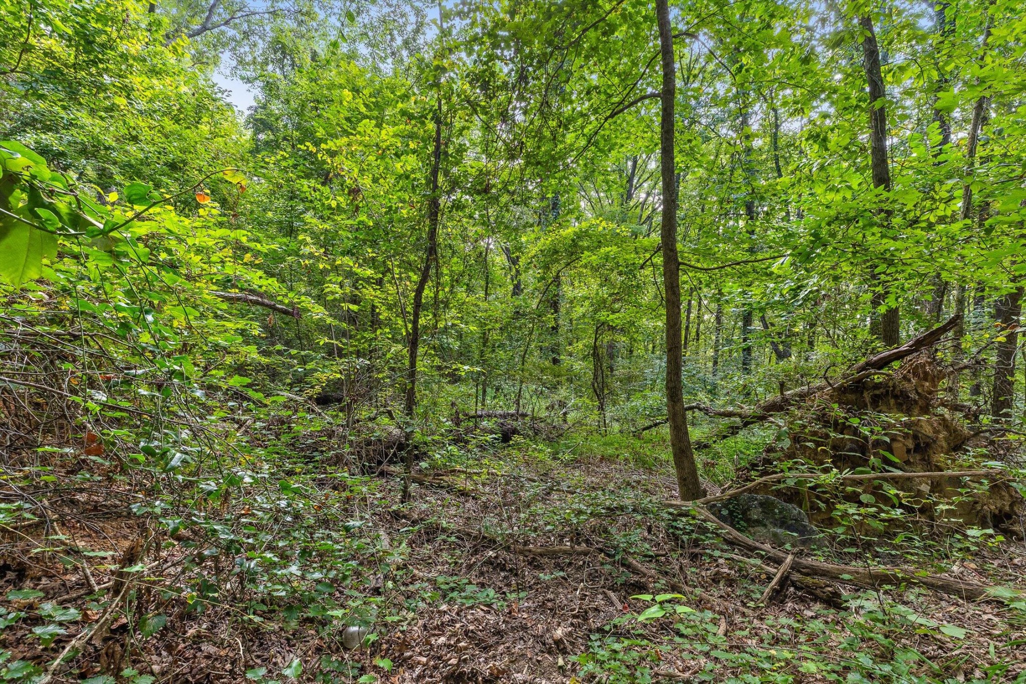 2255 Nickajack Road Property Photo 8