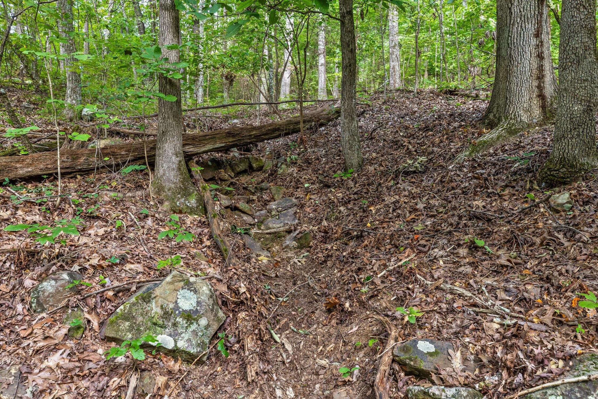 2255 Nickajack Road Property Photo 9