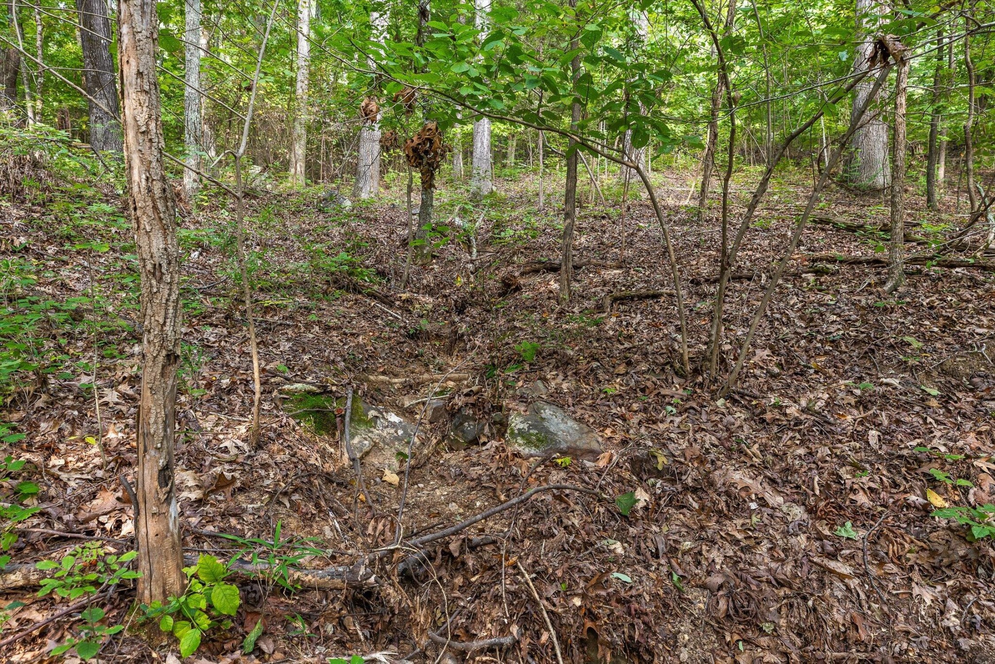 2255 Nickajack Road Property Photo 10