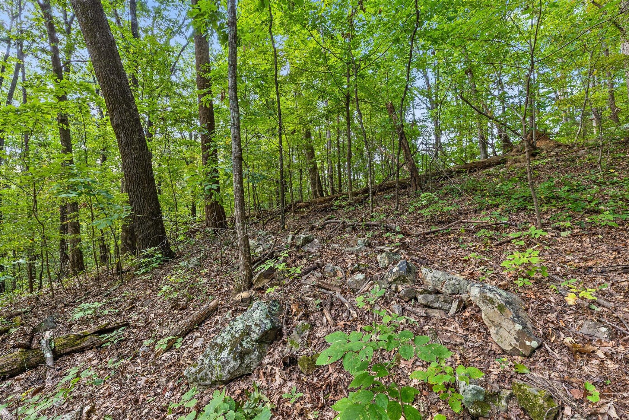 2255 Nickajack Road Property Photo 11
