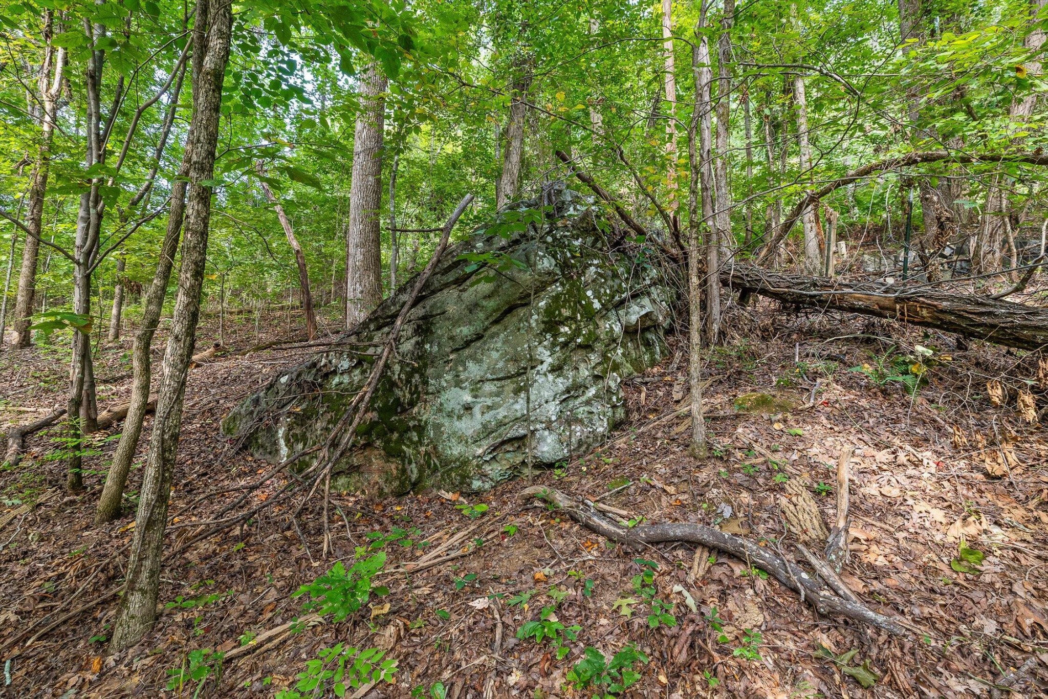 2255 Nickajack Road Property Photo 12