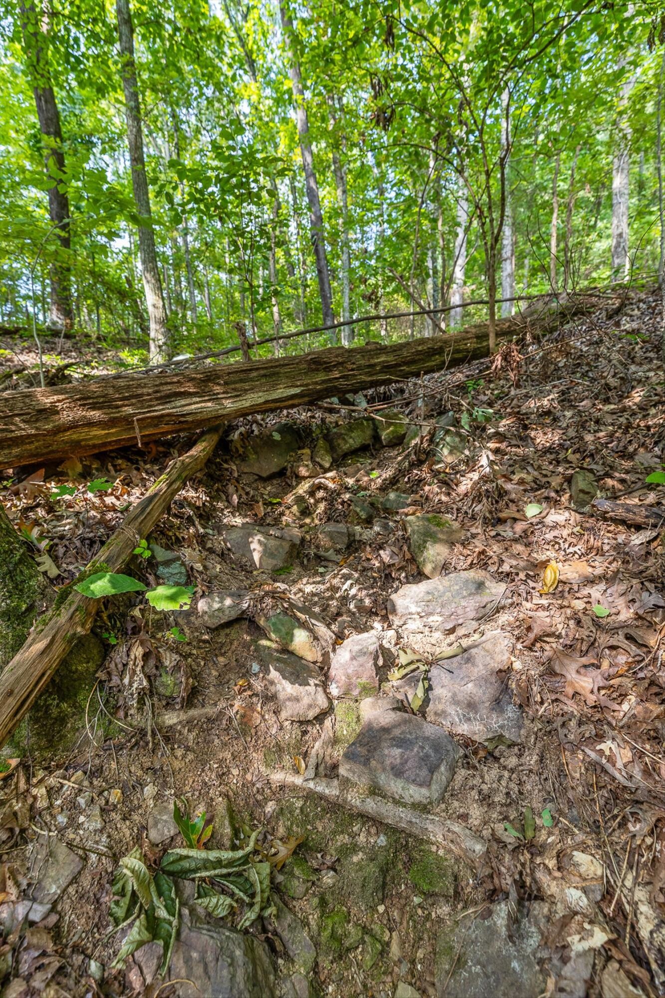 2255 Nickajack Road Property Photo 13
