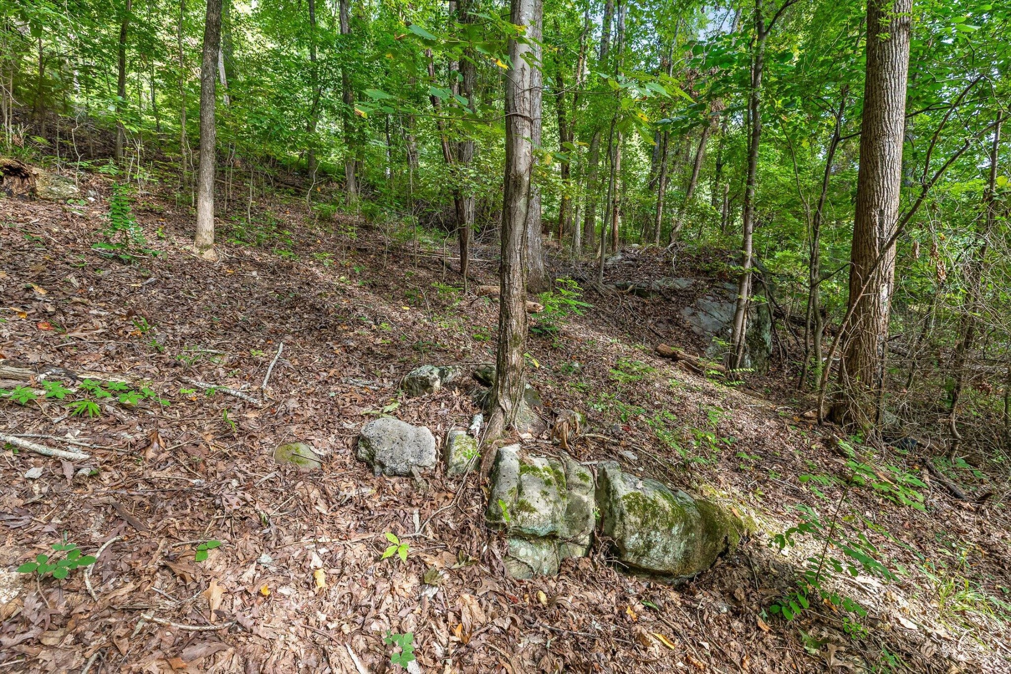 2255 Nickajack Road Property Photo 15