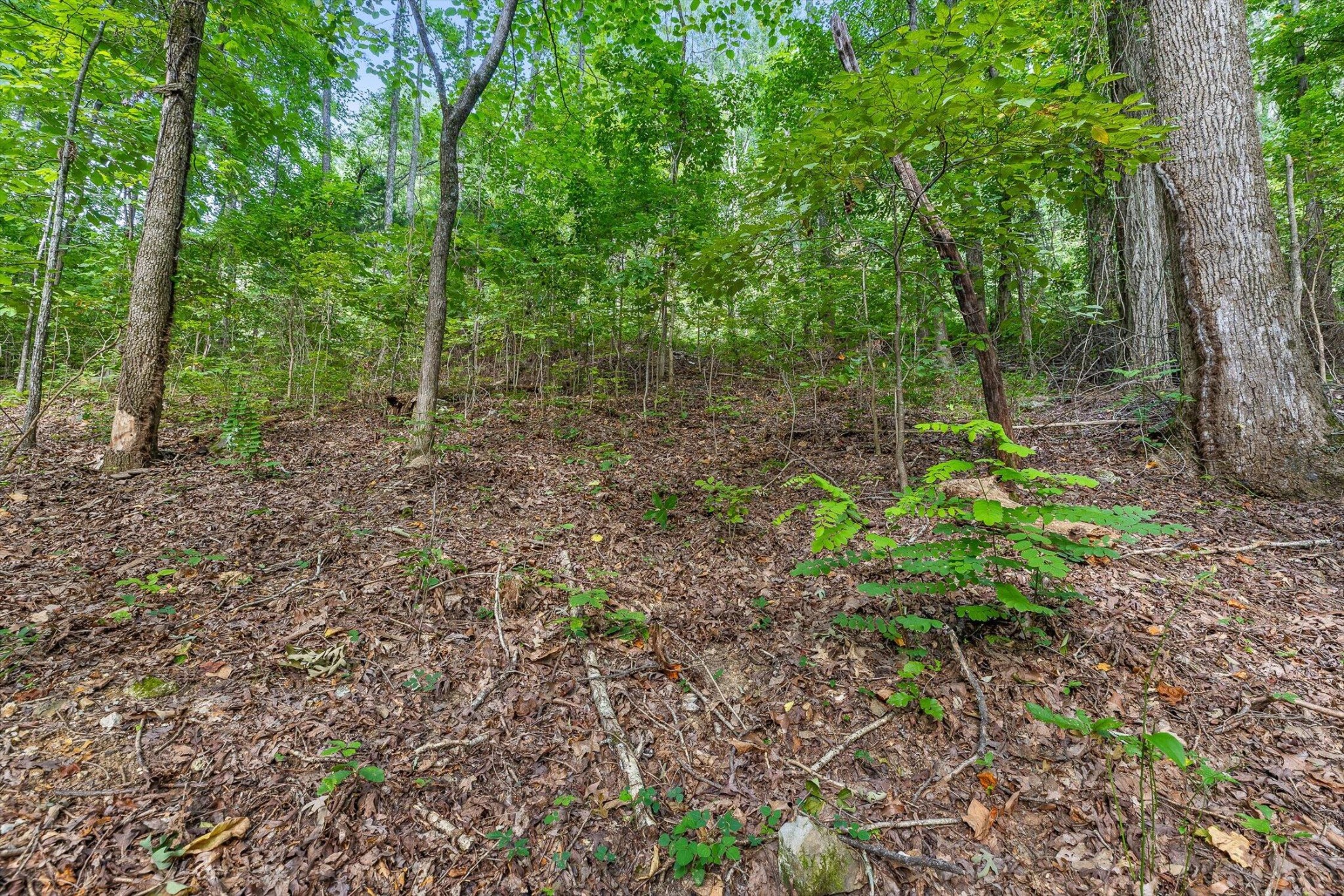 2255 Nickajack Road Property Photo 16