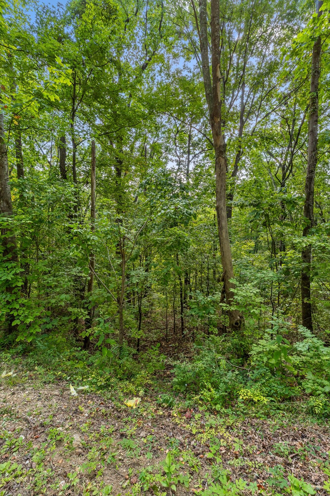 2255 Nickajack Road Property Photo 19