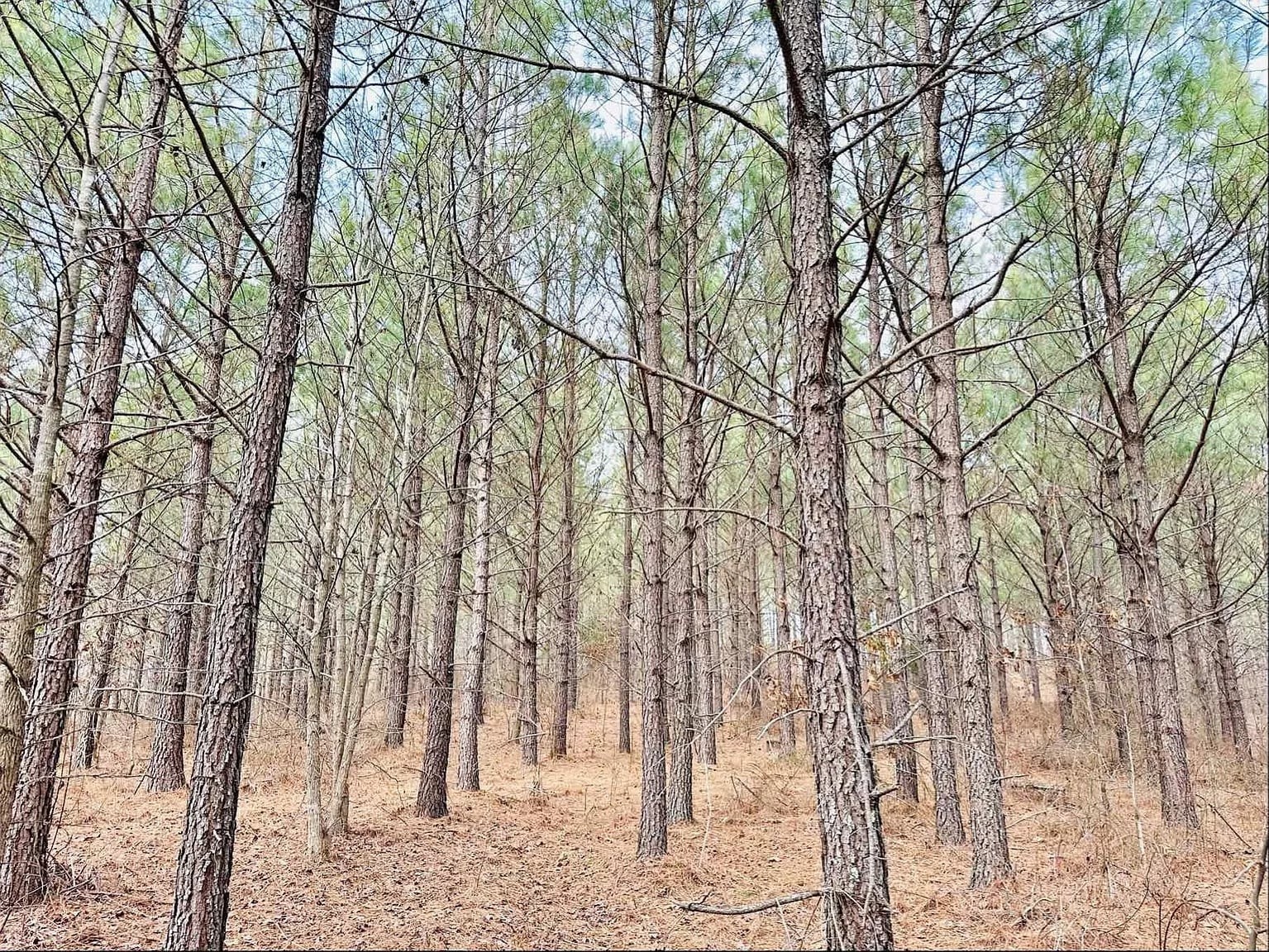 48 Ranches At Hickory Ridge Property Photo 1